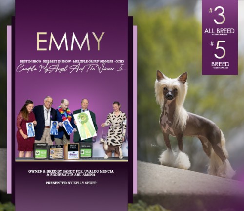 25 Fox Emmy AdBanner 060225