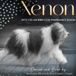 26 Wolfgang Stamp Bruns Paquette_SR042025 26 Wolfgang Stamp Bruns Paquette_SR042025