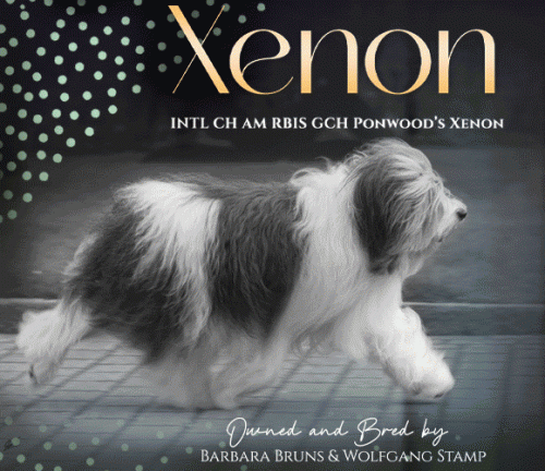 26 Wolfgang Stamp Bruns Paquette_SR042025