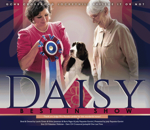 29 Green Daisy_CC_Online Animated