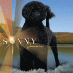 9 Truesdale_SR092025 9 Truesdale_SR092025