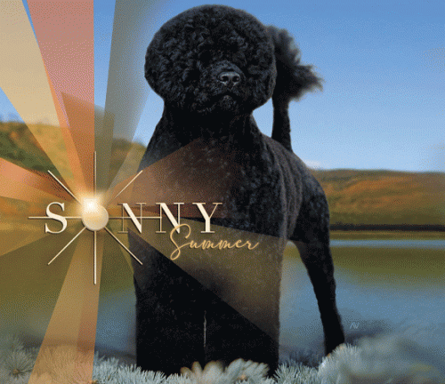 9 Truesdale_SR092025