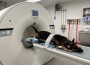 ASIC PET CT