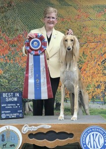 Aurora's The Candy Man Of Lamiu Jp