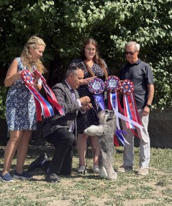 Carmel Mr. Joe Adamis 915