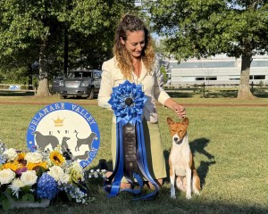 Dark Moons Beanboozled