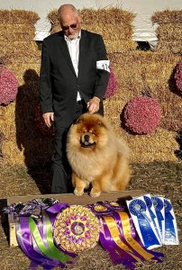 Eastern Magic Desperado