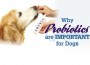F Why Probiotics are important
