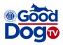 GoodDogTV