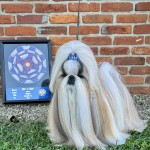 Hallmark Jolei Out Of This World