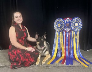 Jimenis Yougogirl Scarab Sierra