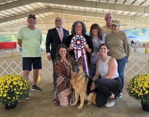 Kingdoms Eternal Life