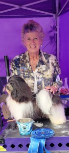 Kolmars You Oughta be in Pictures