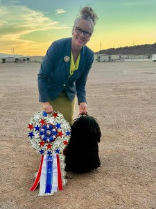 Lajosmeyi The Music Man