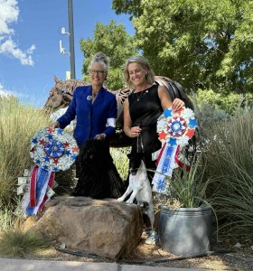 Lajosmeyi The Music Man