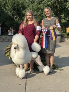 Lakeridge Someone Like You