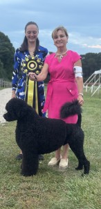 Odysea It's Always Sonny At Surfari