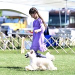 OliviaNextGen3 OliviaNextGen3