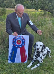 Prestige Westviews Storms A-Brewin