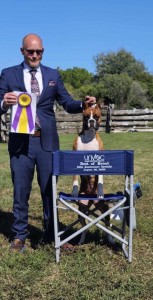 Schaible N Sin’s Halo Of Gold