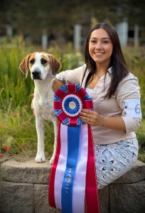 Sheez-Beez Evermore Twice Told Tales