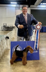 Studio Be Curious Jp Justice Hero