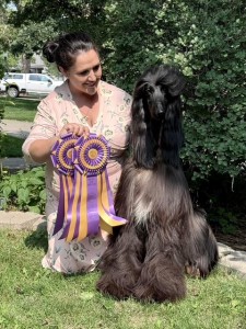 Sunlit’s King of Thieves