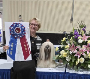 Ta Sen Westgate Jingle Juice