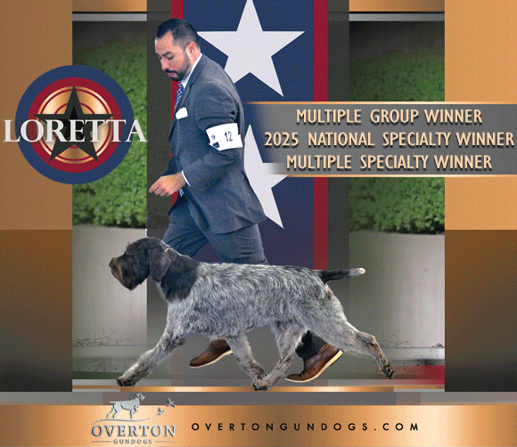 13 Richter_SR112025_02