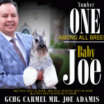 14 Lande+SR_Sept.8_22gif