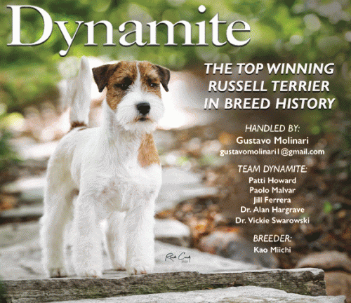 17 Ferrera_SR052025_01