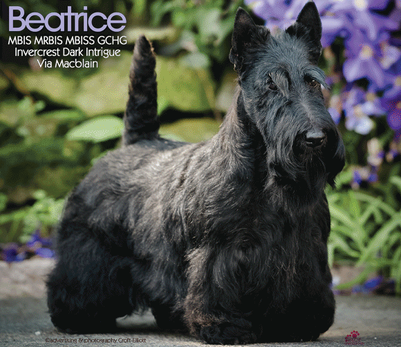 20 Eggert_SR102025_03