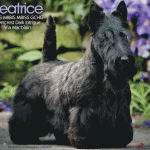 20 Eggert_SR102025_03