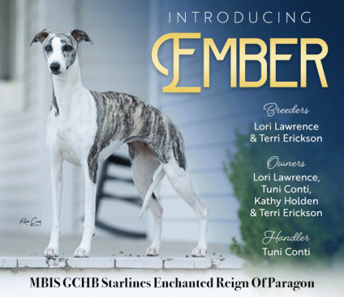 24 Ember_GIF_SEPT2025_