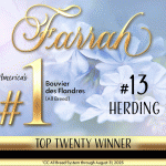 31 Paquette_BOUVIER_Oct25 31 Paquette_BOUVIER_Oct25