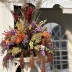 558854783_10232099250928722_7018155056115884830_n