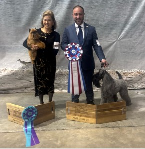 Bluecrush Renaissance Man Of Edbrios 1012