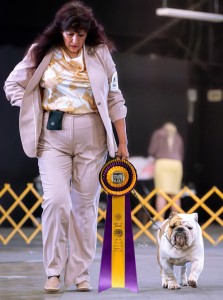 Brumar's Making Ole' Memories Come Alive