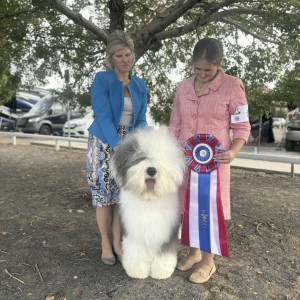 Bugaboo's Give Me S'more