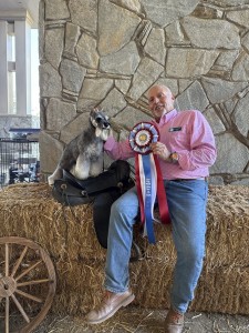 Carmel Mr. Joe Adamis 1030