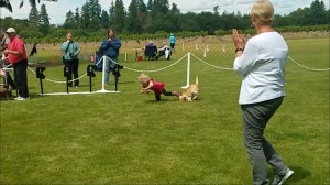 CharlotteNextGenLab2