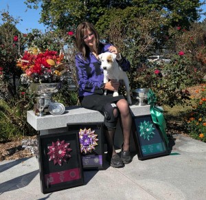 Classic's High Voltage Zap!