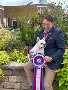 Dezperado's Goldshield Pop The Cork!