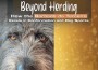 F Beyond Herding
