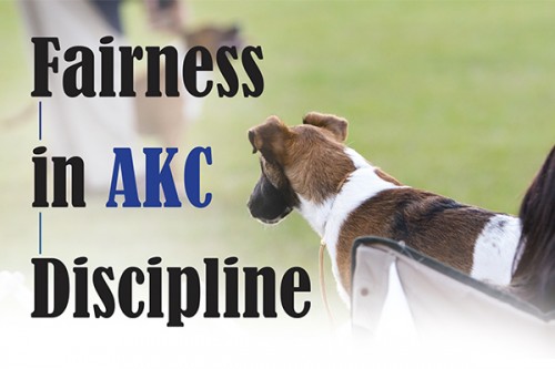 F Fairness in AKC Discipline