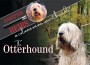 F Rarefied Heirs - The Otterhound