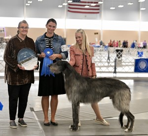 Iron Gate Bishops Opening