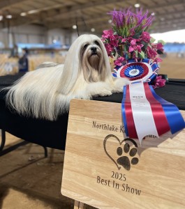 Kimik Tasen Westgate Spin The Bottle