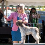 LagottoNationalBOB1Oct25-28