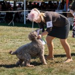 LagottoNationalSweeps1Oct25-209